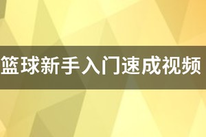 美国孩子篮球训练视频